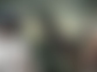 Morelia: Este sábado habrá Torneo Doble de Móvil FreeFire y Call of Duty