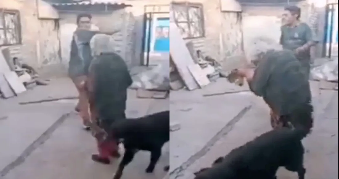 VIDEO FUERTE: Hombre golpea con un tubo a una abuelita en el Edomex; ya está detenido