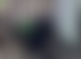 Video: Captan riña entre dos mujeres policías en el Metrobús