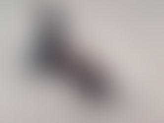 #Viral: Un jinete se cayó en pleno desfile... y las redes arden por la reacción de AMLO