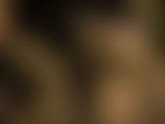 Ni comida ni medicamentos; Bukele ordena el cierre completo de un municipio por romper la cuarentena