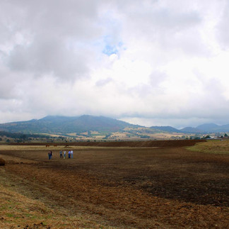 Tras labores de limpieza, renace laguna de Zinciro, en Erongarícuaro