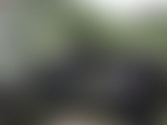 Ejército Mexicano es 19% más letal contra el Narco este año, que durante 2019