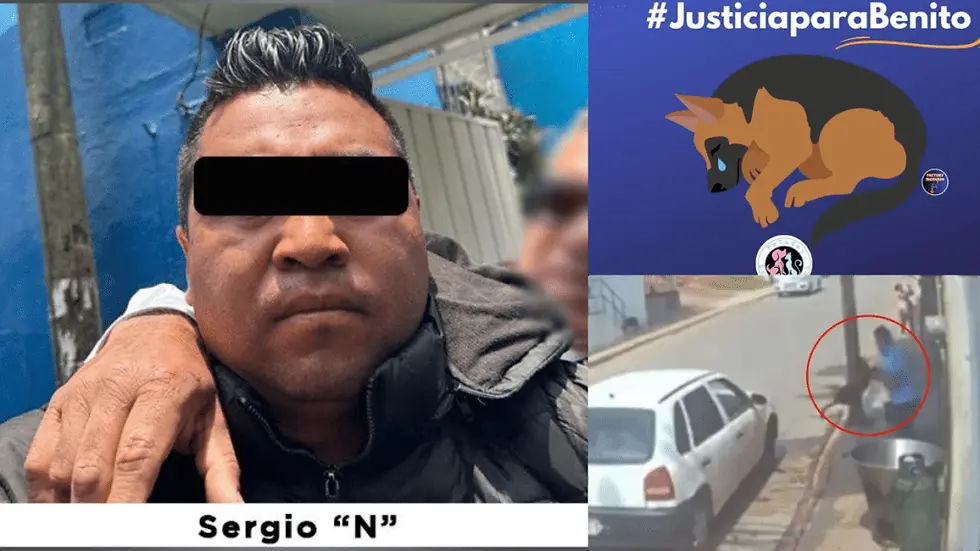 Detienen a Sergio ‘N’, el hombre que lanzó a “Benito” en aceite hirviendo; enfrenta estos cargos