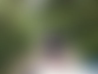 SSP apoya en cateo a la FGE, localizan 10 kg de metanfetamina