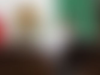 Busca Balta Gaona tipificar el delito de cohabitación forzada en menores de edad