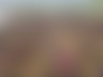 Este domingo arranca el programa de reforestación “Morelia Brilla”