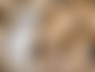 Confirman primer caso de gusano barrenador en un perro