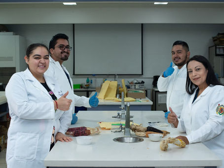 UMSNH publica periodo de segunda convocatoria de ingreso