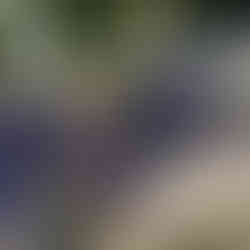 Narcos se enfrentan durante más de 24 horas en municipios fronterizos de Chiapas con Guatemala