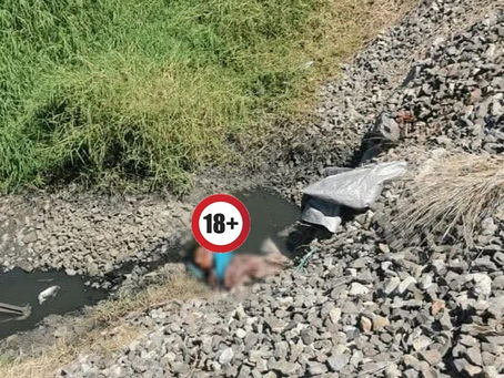 Morelia: Localizan cuerpo descuartizado, en la colonia Aquiles Serdán; esto se sabe