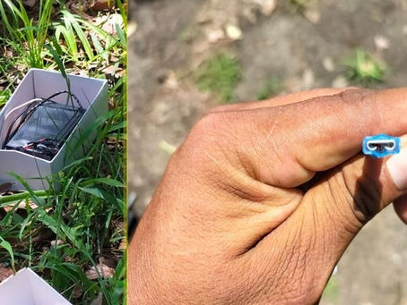 Falso, supuesto artefacto explosivo en la zona centro de Uruapan: SSP