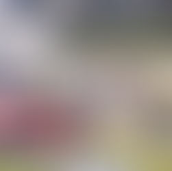 Imágenes de Texcaltitlán tras el enfrentamiento entre Pobladores y La Familia Michoacana