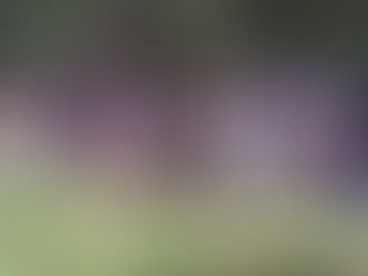 México: Grupo de civiles armados graba y difunde la ejecución de 20 supuestos criminales