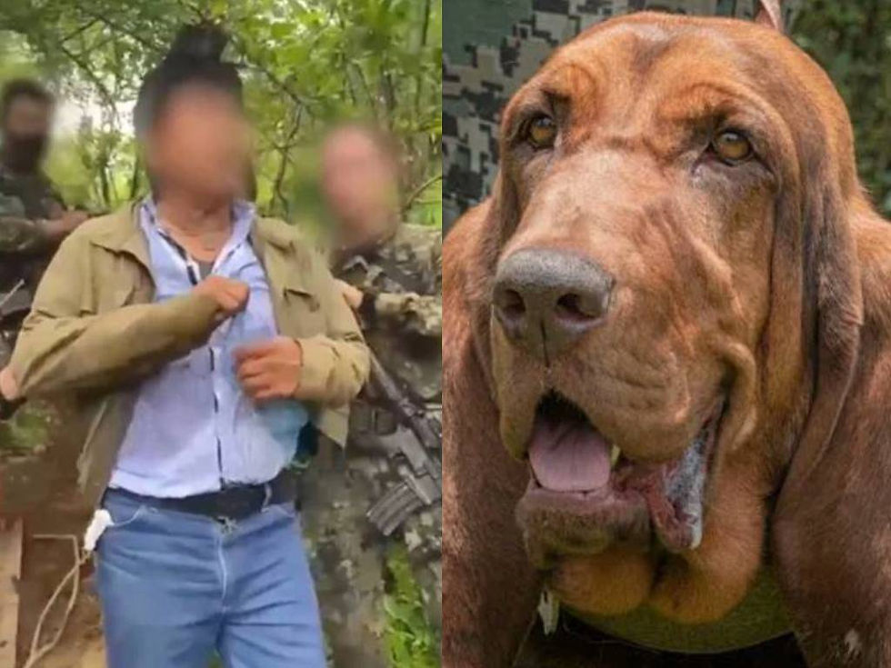 Ella es Max, la perrita que encontró a Caro Quintero escondido entre los matorrales