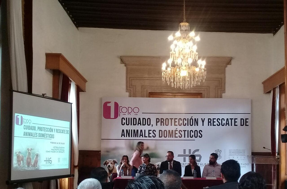 Con el 1er Foro estatal de Michoacán en cuidado de animales, se garantiza la protección y su rescate