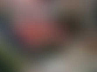 #UMSNH: Facultad de Derecho y Ciencias Sociales estrena nuevo Plan de Estudios