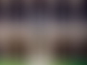 Aprueba Consejo Universitario de la UMSNH, su plan de desarrollo institucional 2021-2030