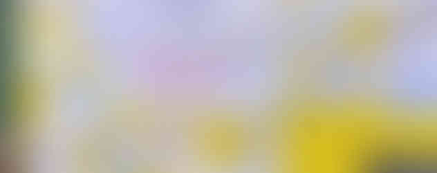 En Facultad de Arquitectura de la #UMSNH, las denuncias de acoso son tanto por mujeres y hombres