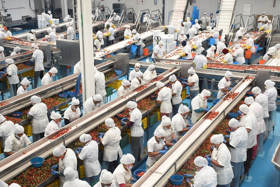 Aumento al salario mínimo entra en vigor este 1 de enero: Sedeco