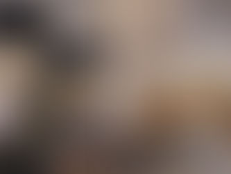 Conoce a la martucha, el mamífero más tierno del Zoo de Morelia