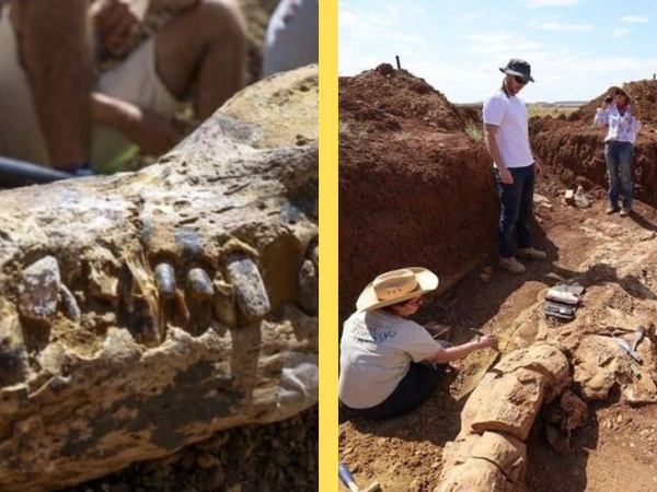 ¿Qué es eso? Encuentran monstruo marino que vivió hace 100 millones de años