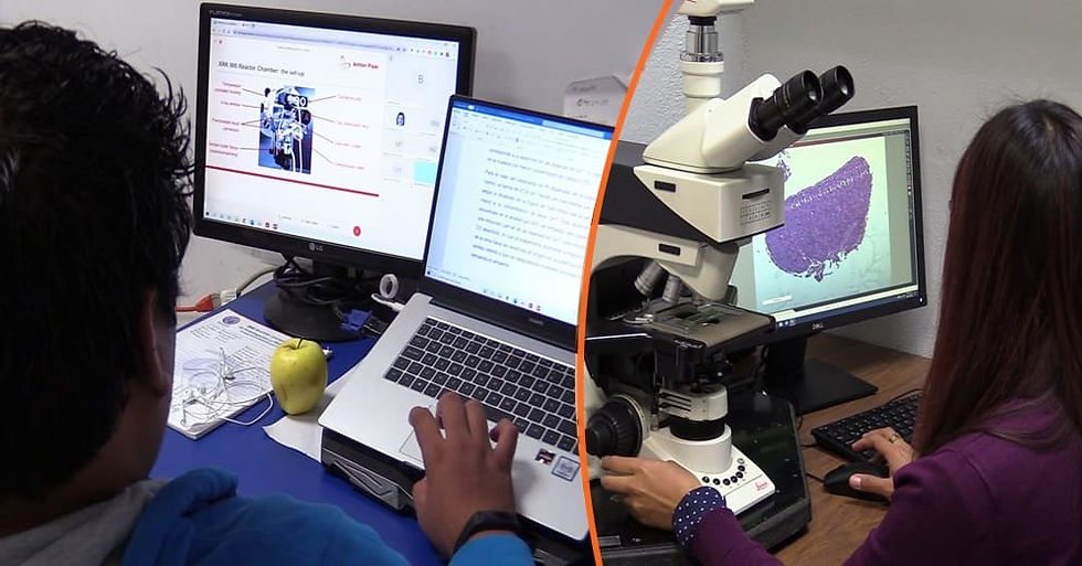 UMSNH imparable: Se abren nuevas licenciaturas en Ciencia de Datos y Agronegocios