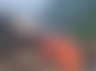 Al menos 32 muertos, diez desaparecidos y miles de evacuados por fuertes lluvias en Corea del Sur