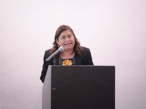 Belinda Iturbide propone ante el pleno promover inclusión laboral de personas con discapacidad