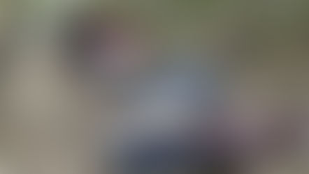 Descarrilamiento del Tren Interoceánico en Asunción Ixtaltepec, Oaxaca, dejo 13 muertos y 98 heridos: SEMAR