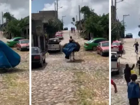 “Y se marchó”: Caballo ‘se da a la fuga’ con quinceañera y video se vuelve viral en redes
