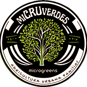 logo_MV_edited.png