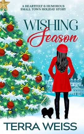 Wishing Season Novelette