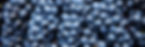 bigstock--129548480-144.jpg