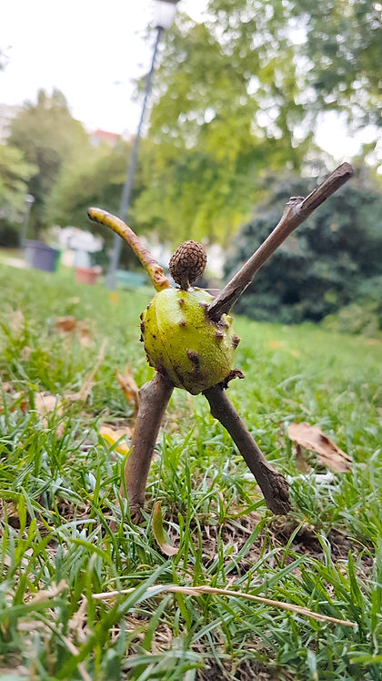 Bonhomme fait avec des éléments naturels par Dusconi Jérémy