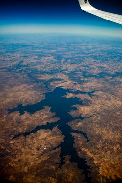 Les racines du monde vue du ciel