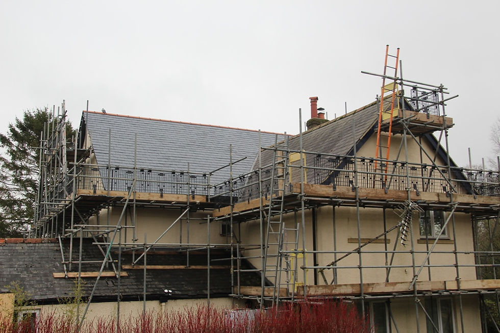 New roof - rear