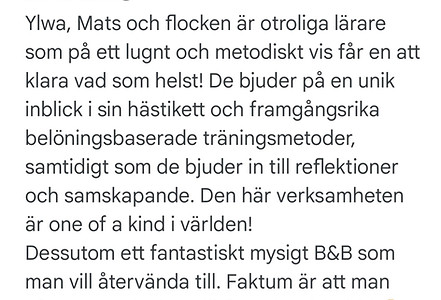2025 LL Omdöme.jpg