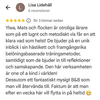 2025 LL Omdöme.jpg