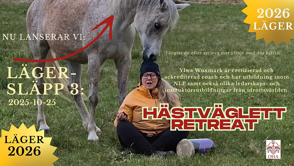 Det 3:e släppet för 2026 handlar om Hästväglett Retreat!