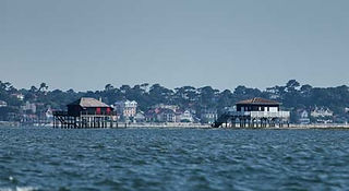 cabanes-tchanquees-arcachon.jpg