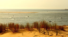 nature-plage-bassin-arcachon.jpg