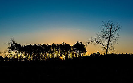 coucher-de-soleil-arcachon.jpg