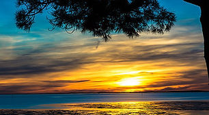 paysages-bassin-arcachon.jpg