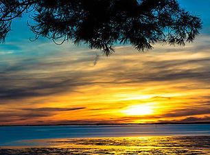 paysages-bassin-arcachon.jpg