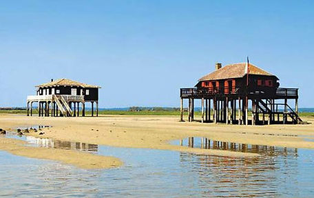 bassin-arcachon-camping-555x350.jpg