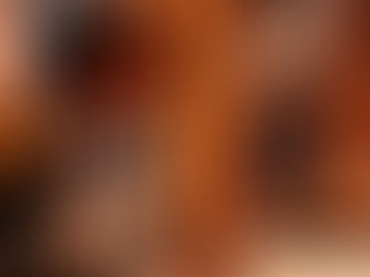 Terça Aberta 54ª edição