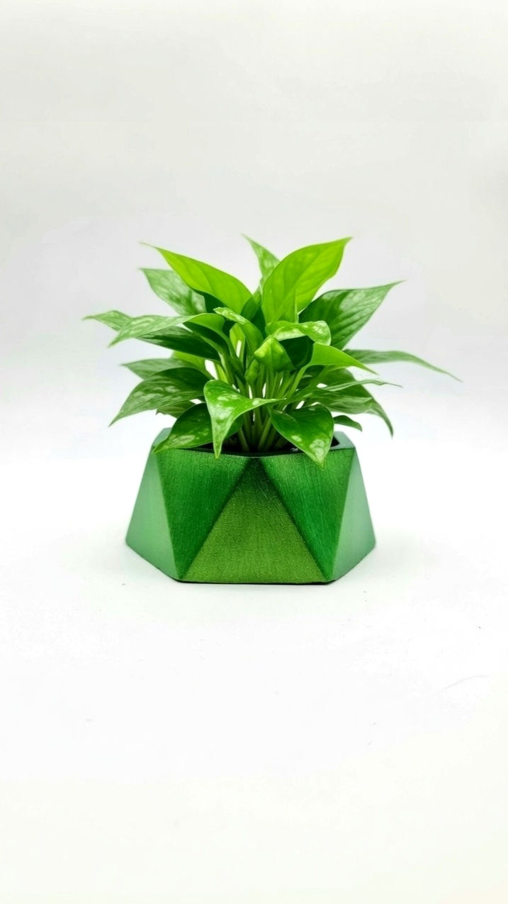 Miniaturbild: Pflanzengefäß 'Polygon'