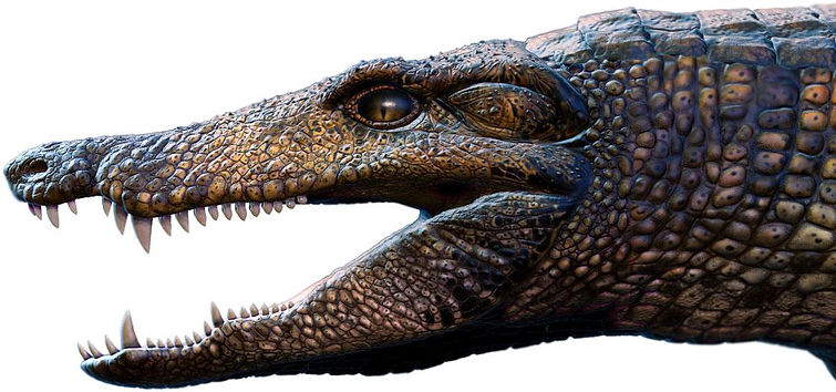 Sebecia Montealtosuchus | dinossauros-e-afins