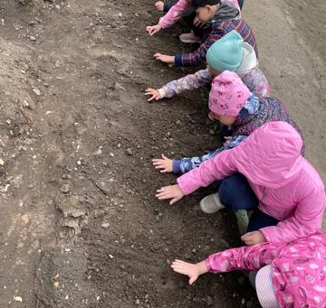 Посадка огурцов.